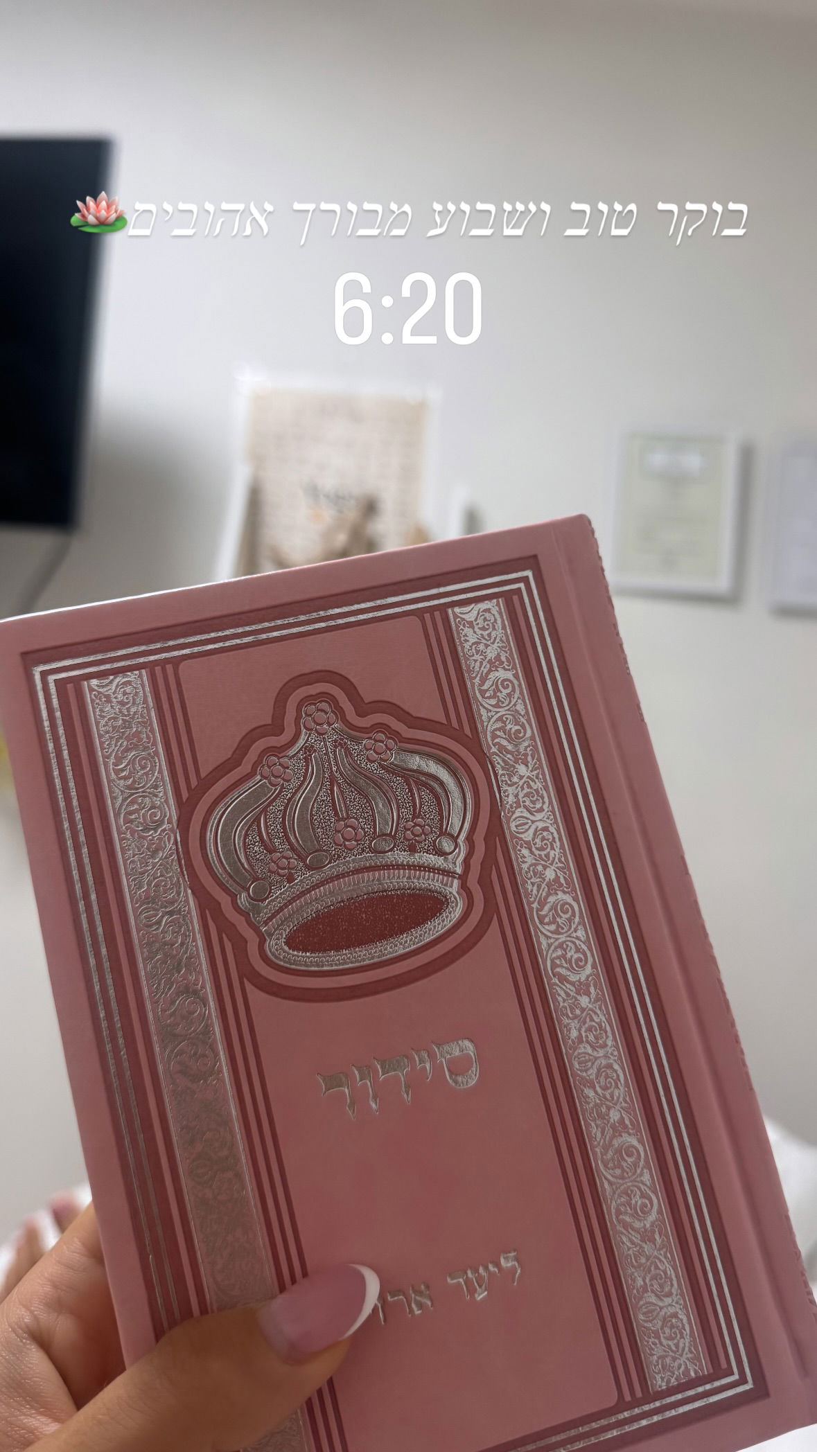 liad.arazi instagram image archive image