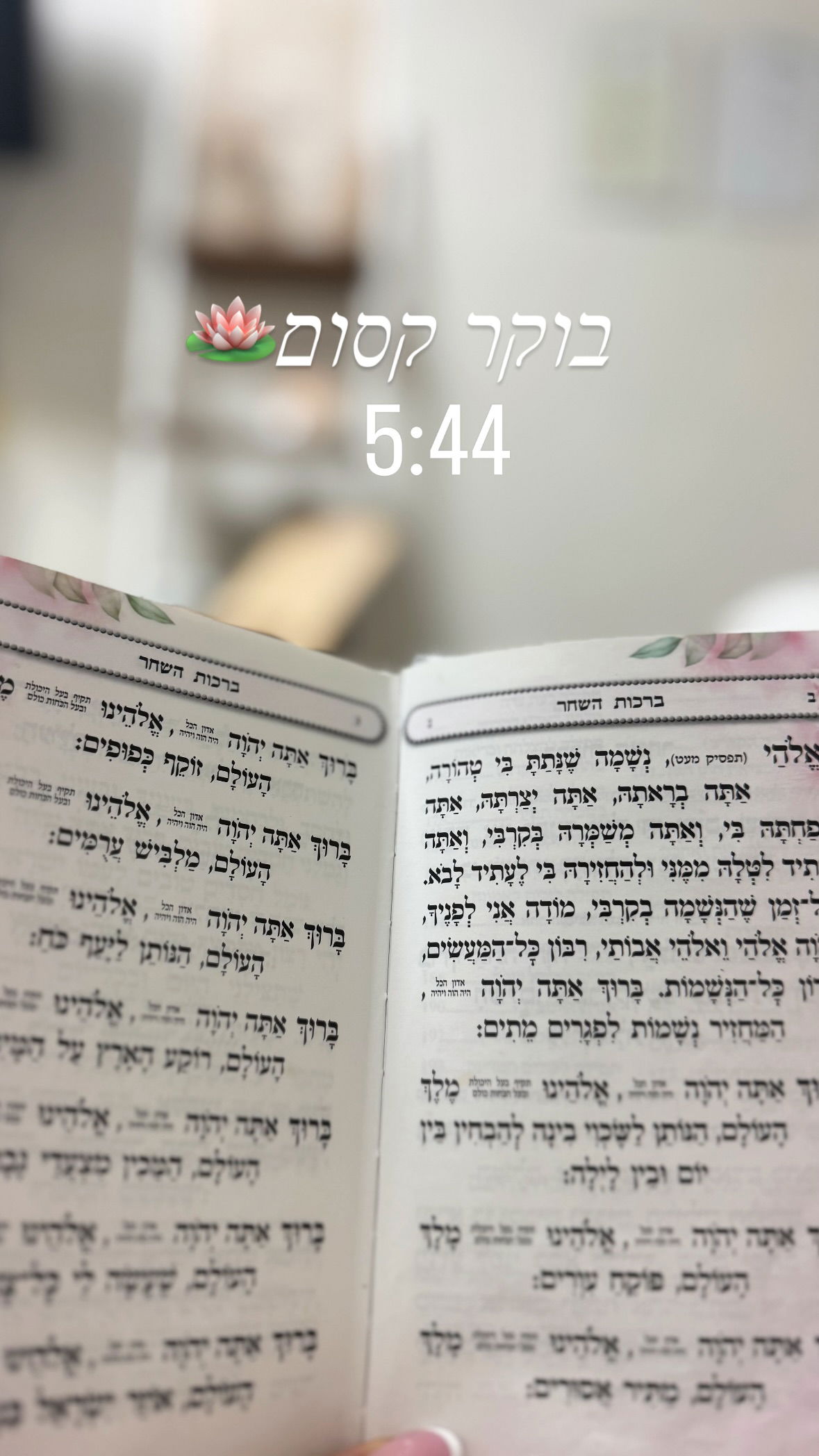 liad.arazi instagram image archive image