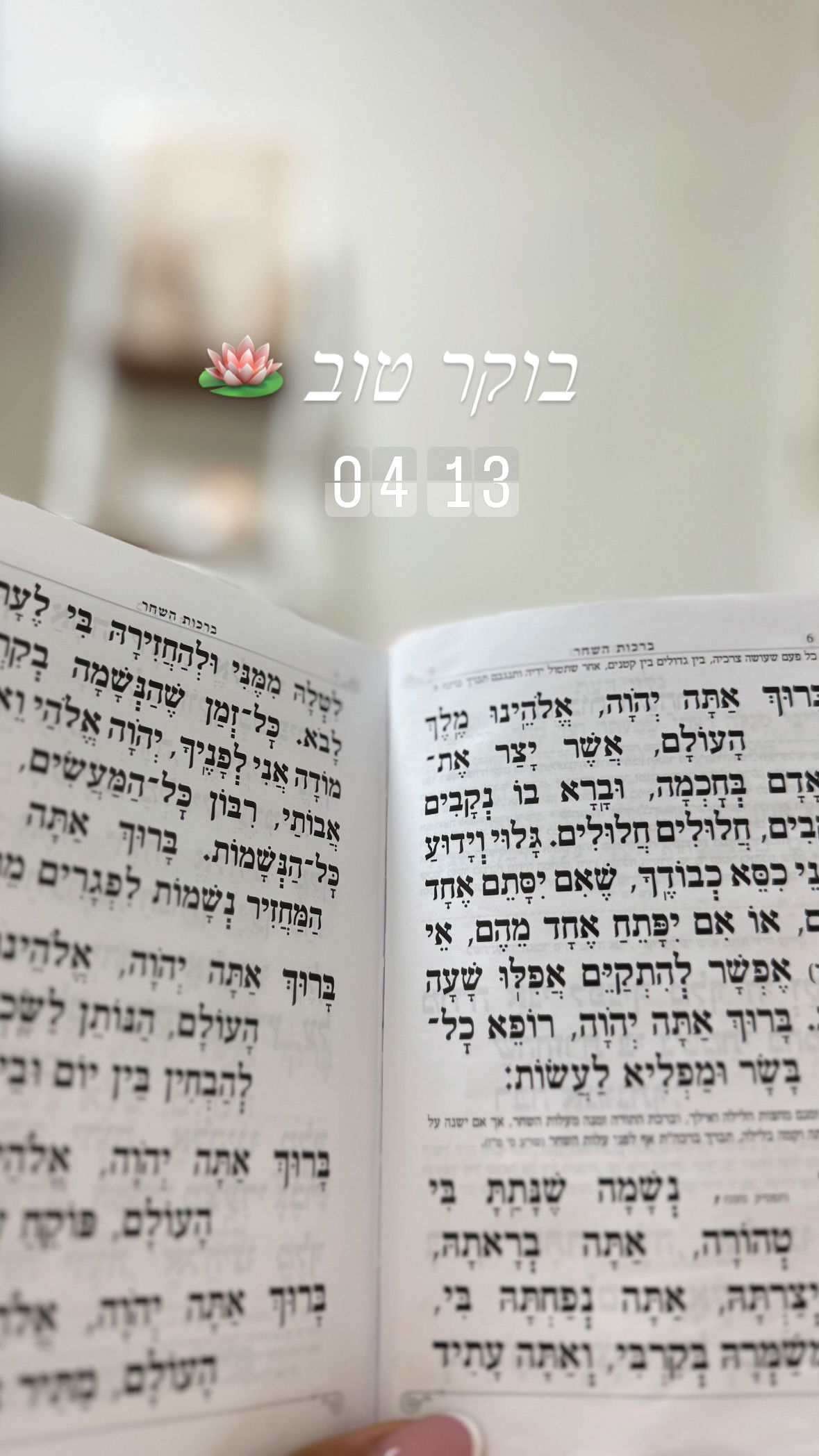 liad.arazi instagram image archive image