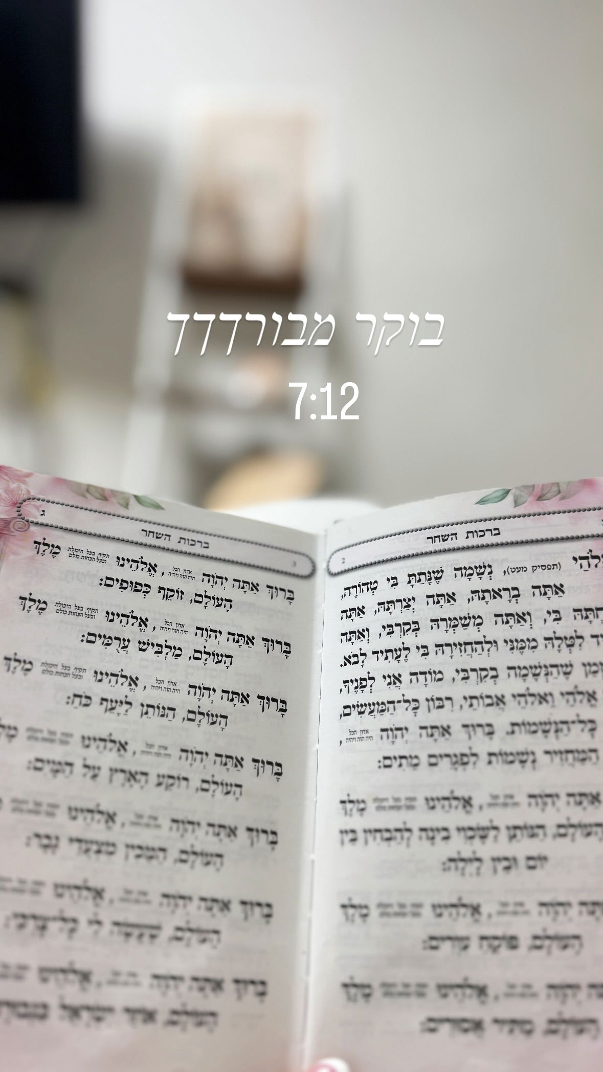 liad.arazi instagram image archive image