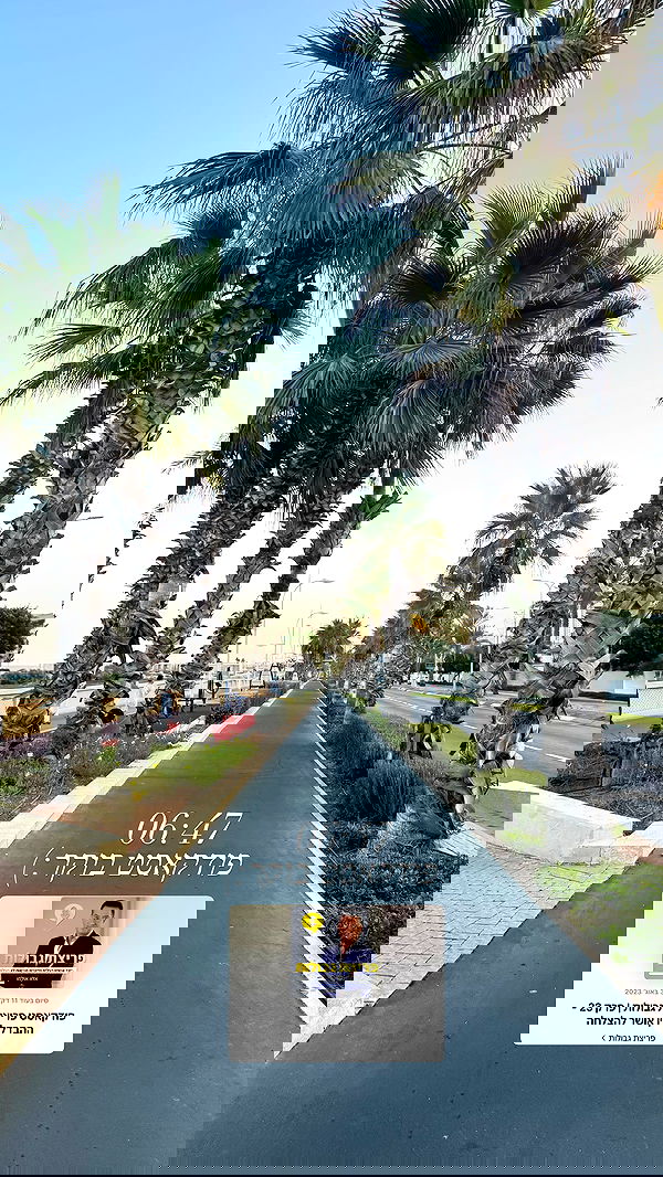 liad.arazi image ~ Altpins