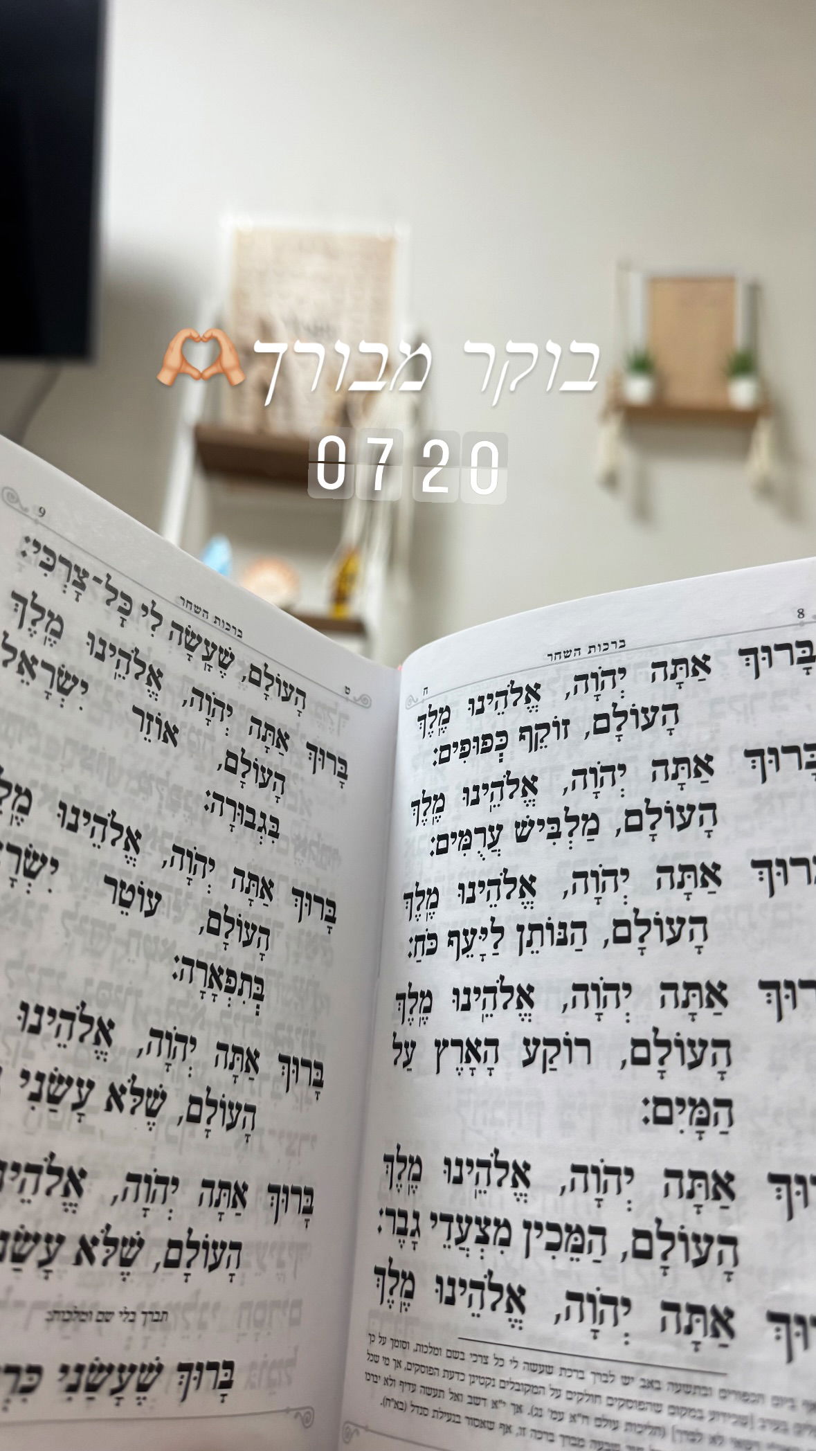 liad.arazi instagram image archive image