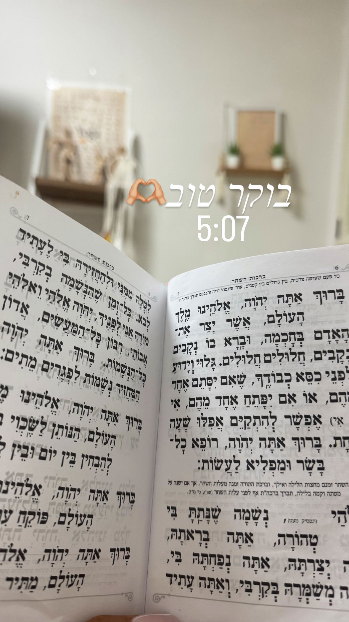 liad.arazi instagram image archive image