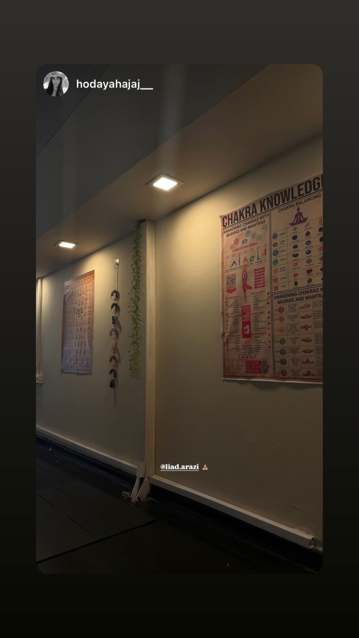 liad.arazi instagram image archive image