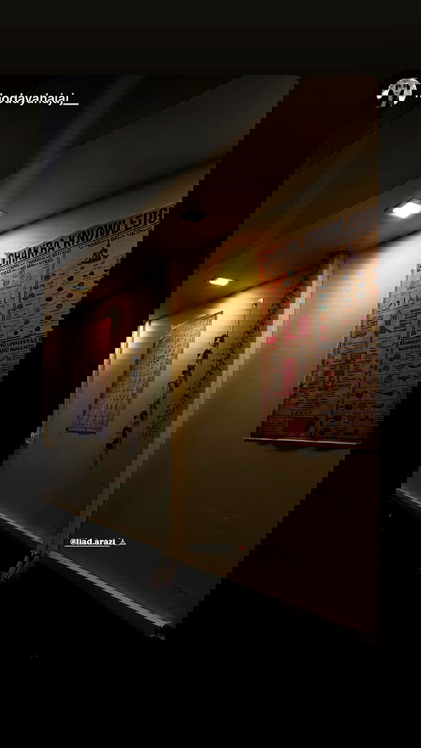 liad.arazi image ~ Altpins