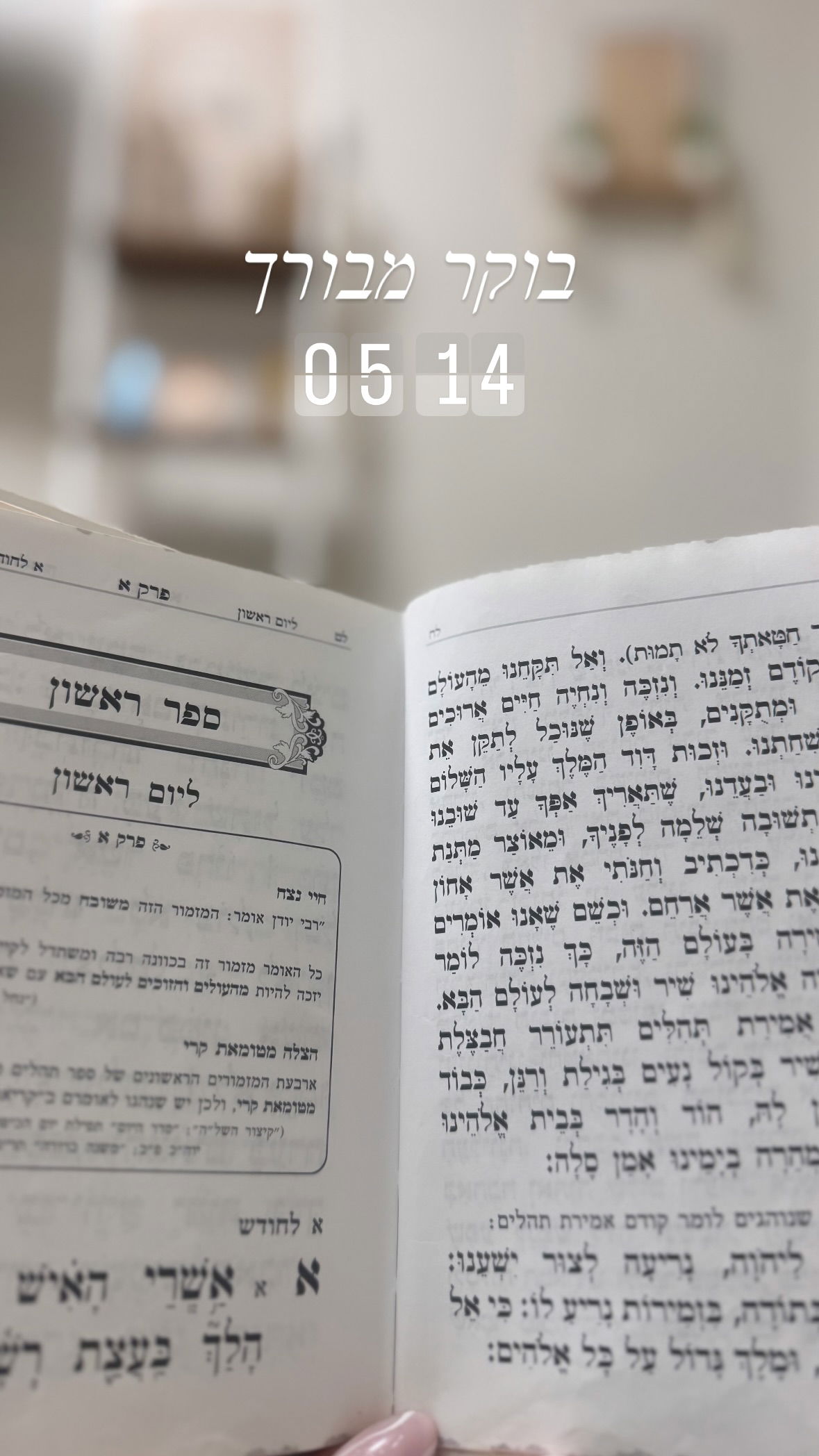 liad.arazi instagram image archive image