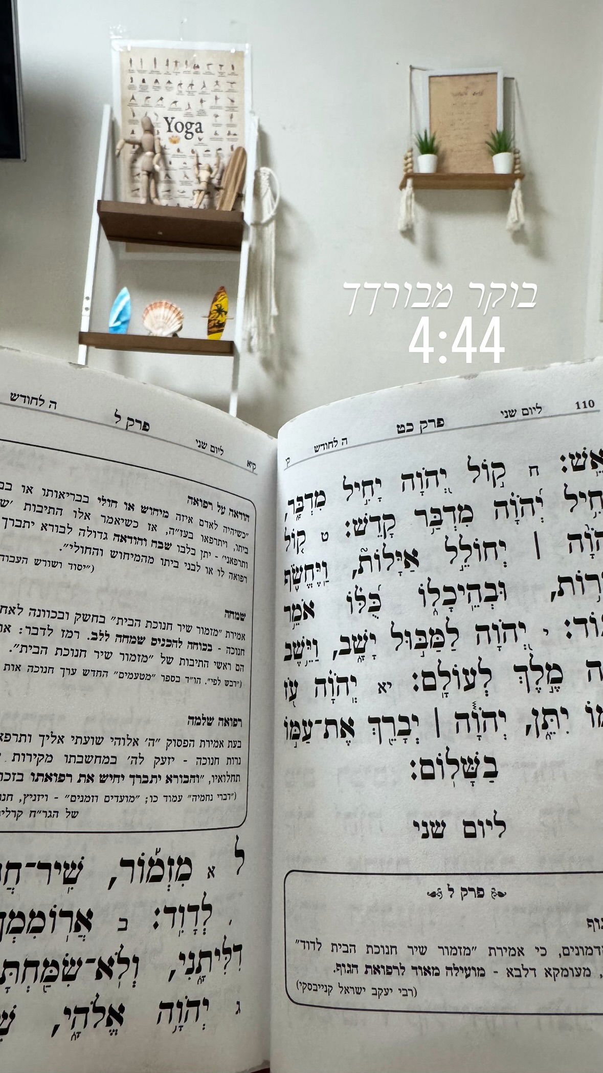 liad.arazi instagram image archive image