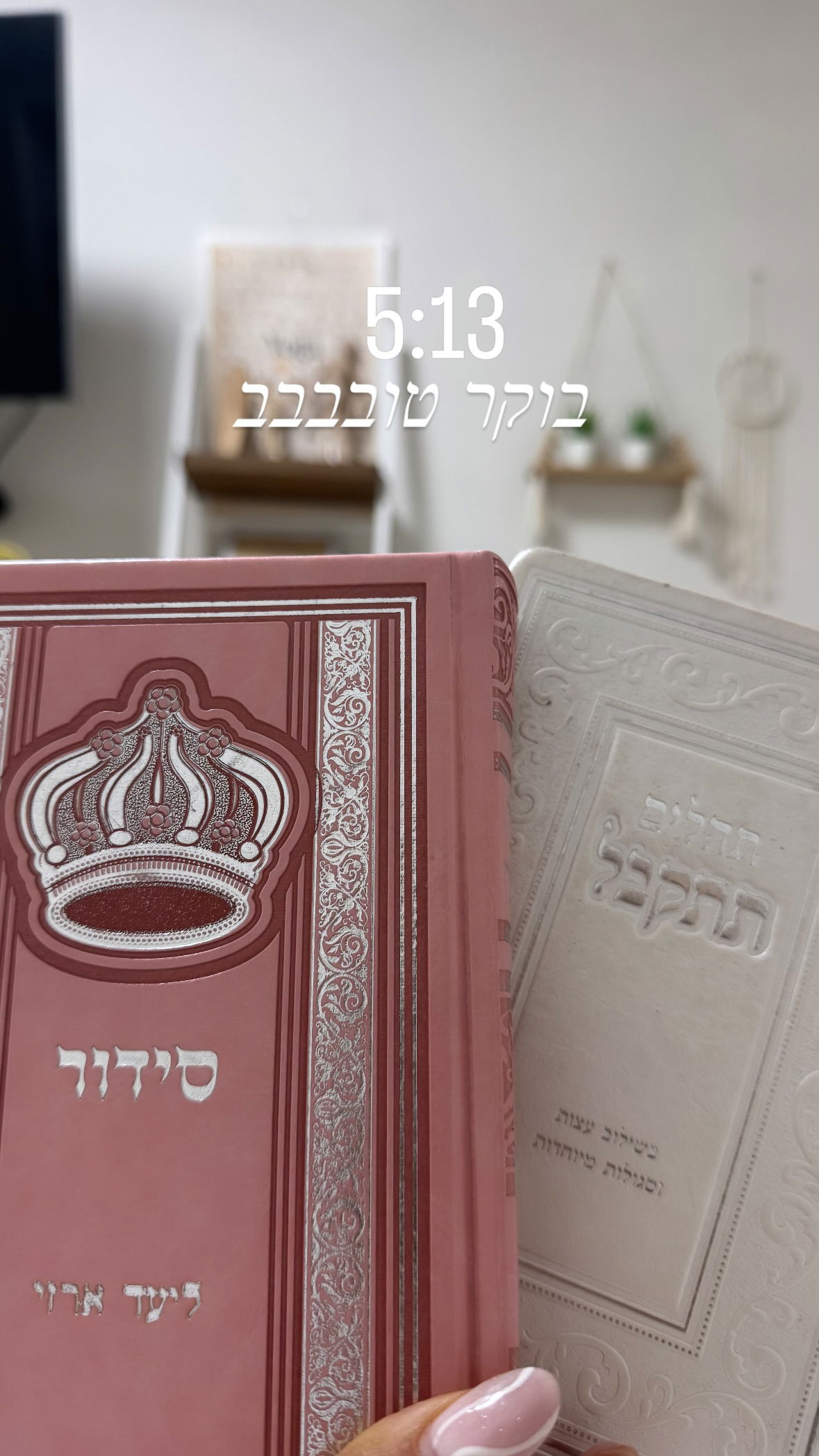 liad.arazi instagram image archive image