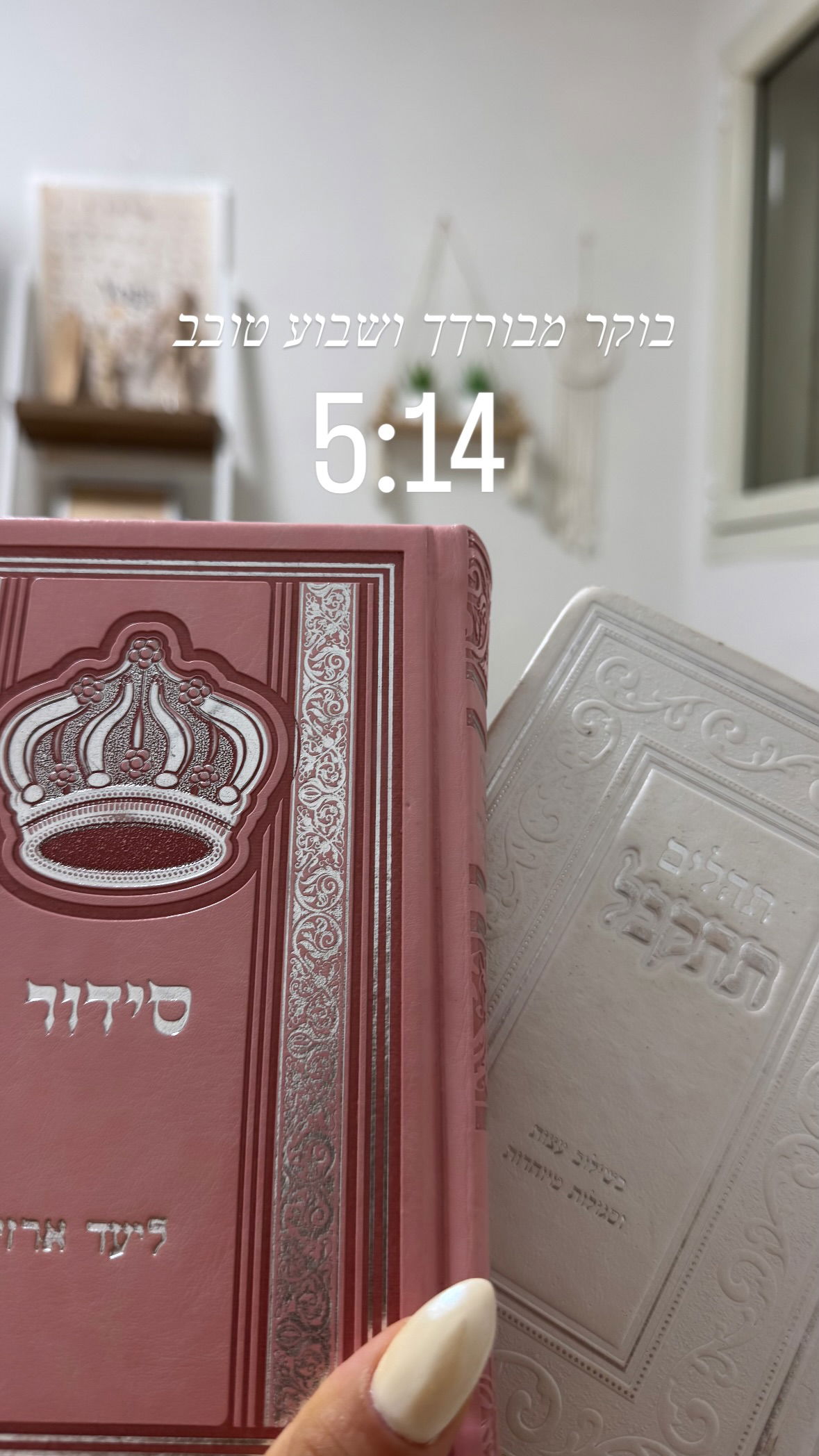 liad.arazi instagram image archive image