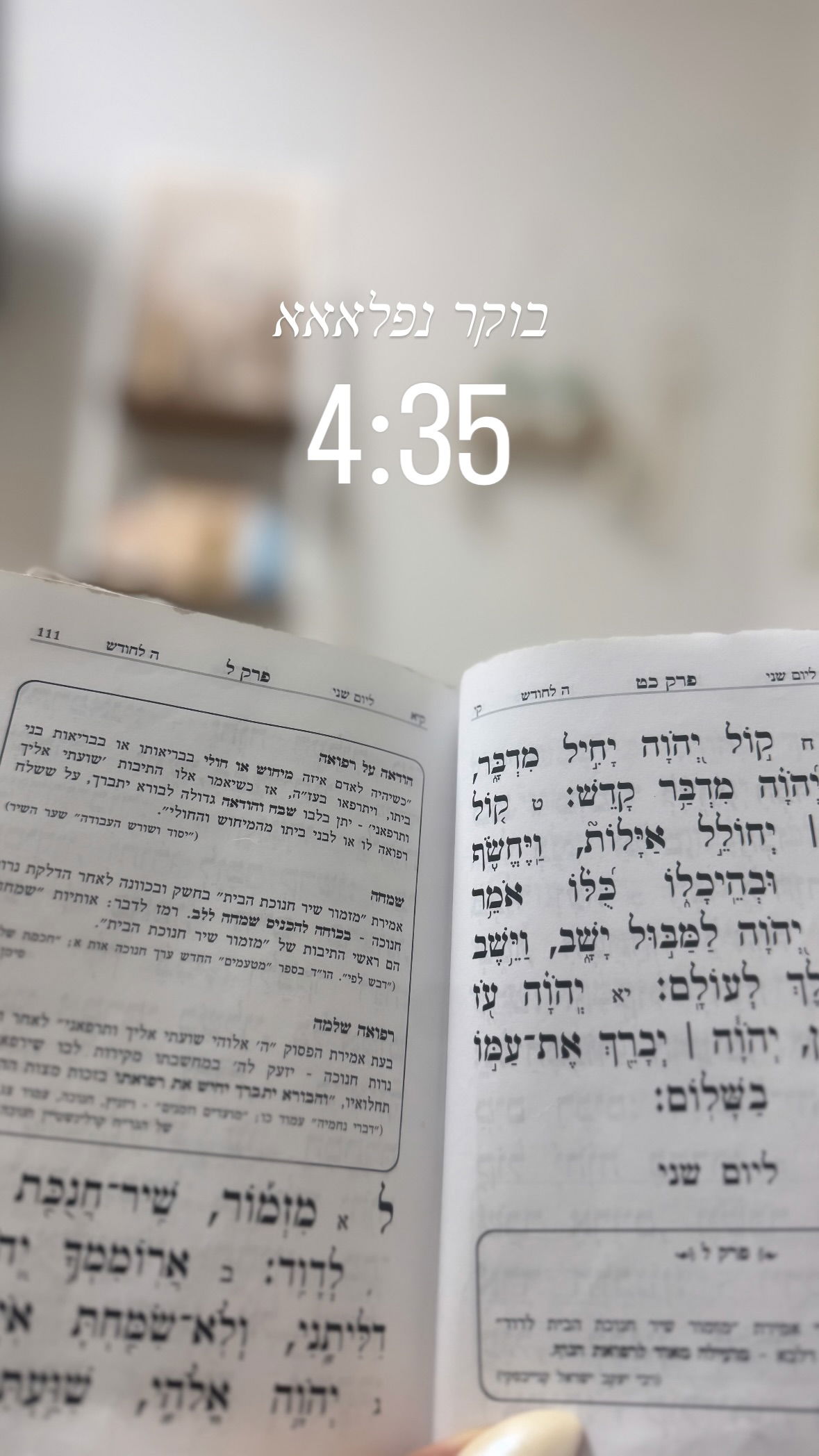 liad.arazi instagram image archive image