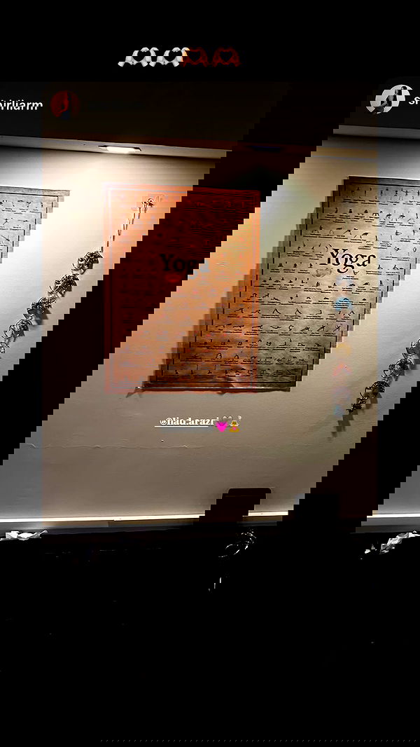 liad.arazi image ~ Altpins