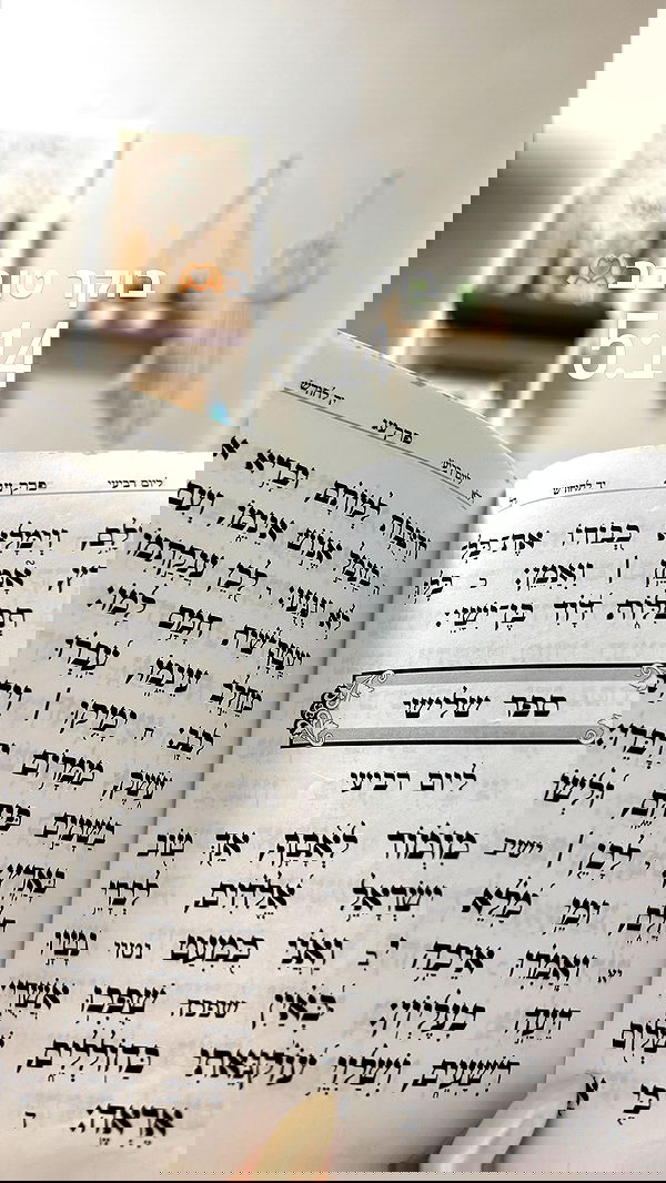 liad.arazi image ~ Altpins