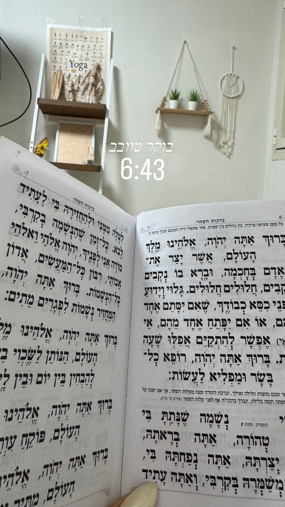 liad.arazi instagram image archive image