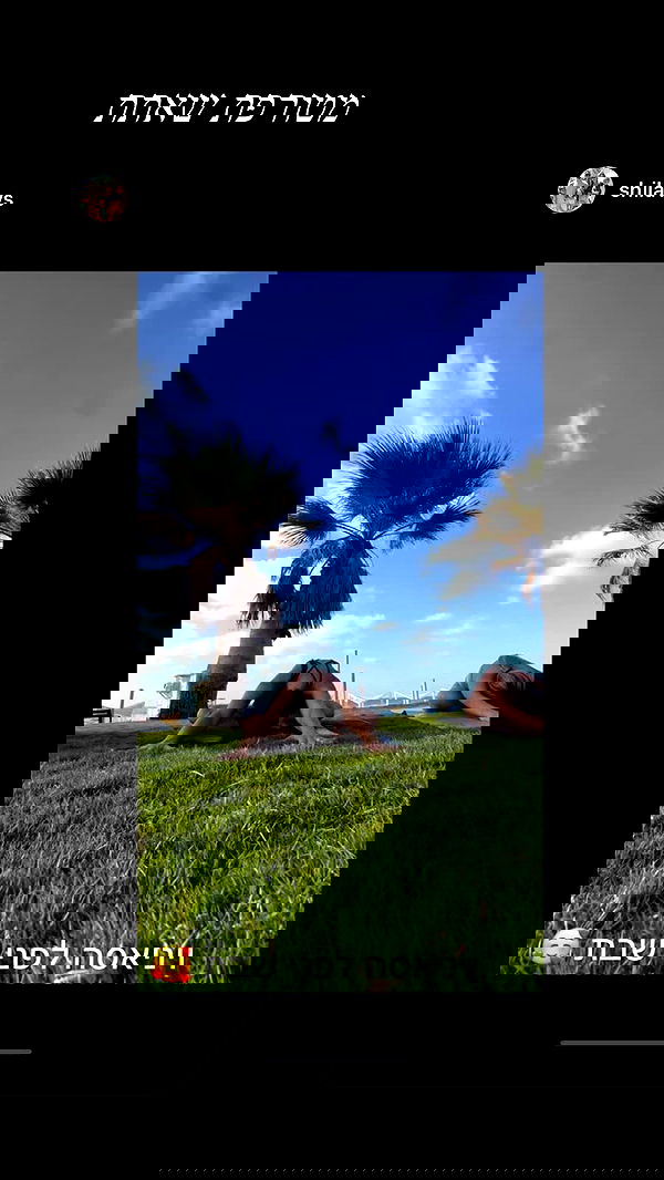 liad.arazi image ~ Altpins