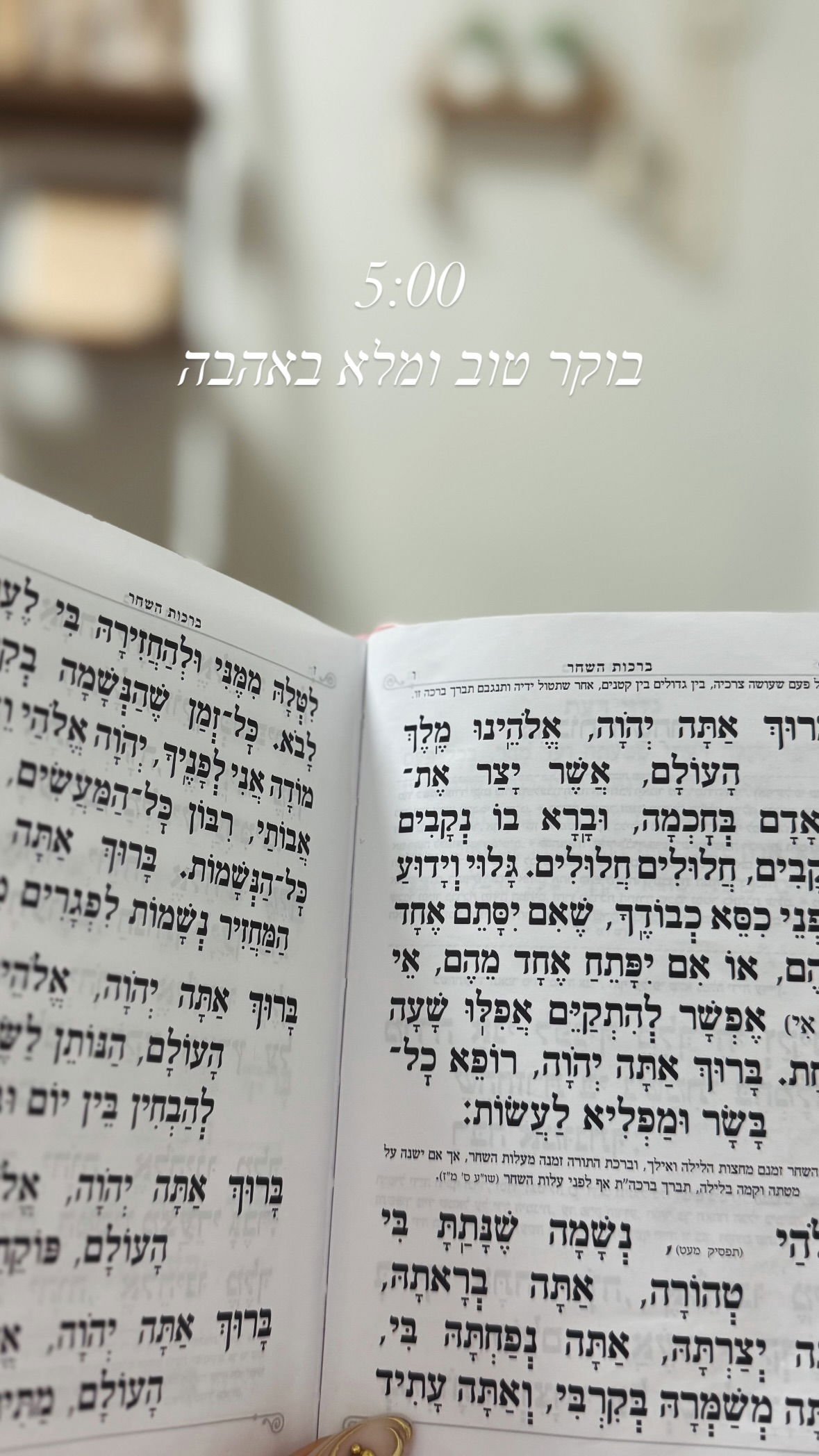 liad.arazi instagram image archive image