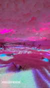 lianzichell Altpins Profile Picture
