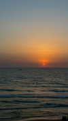 lianzichell Altpins Profile Picture