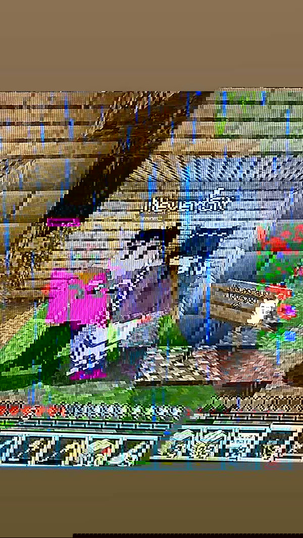 liashaked liashaked archive image