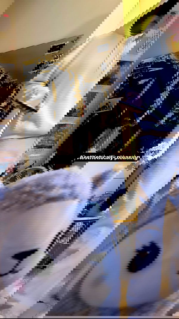 liashaked liashaked archive image