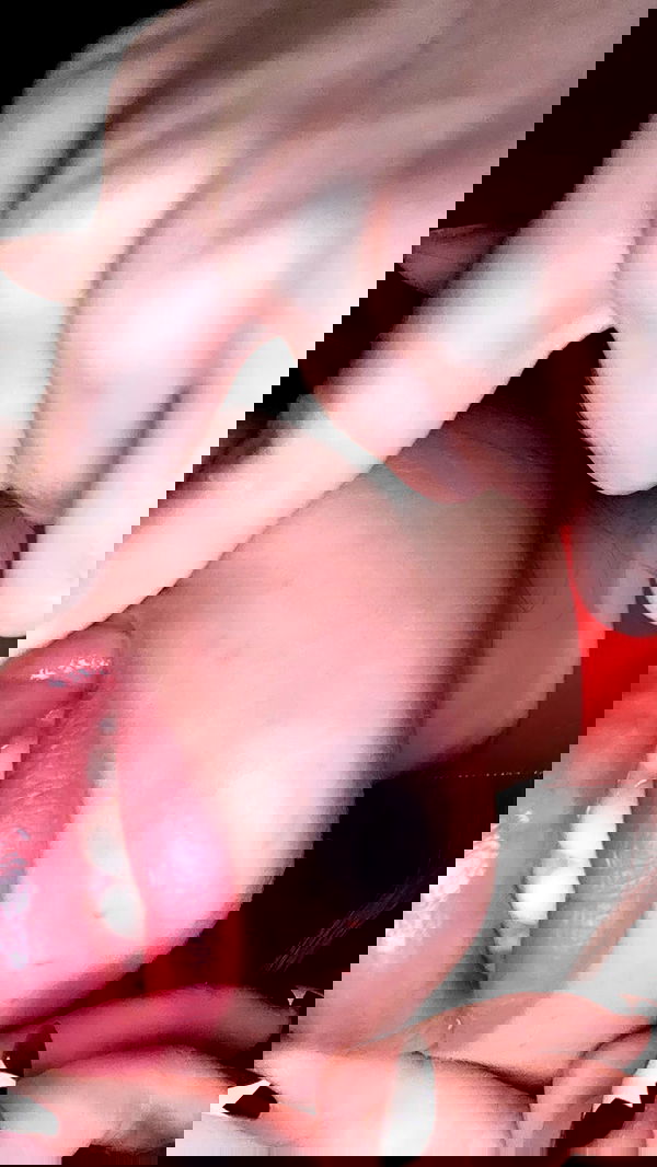 liashaked liashaked archive image