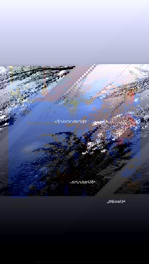 liashaked liashaked archive image