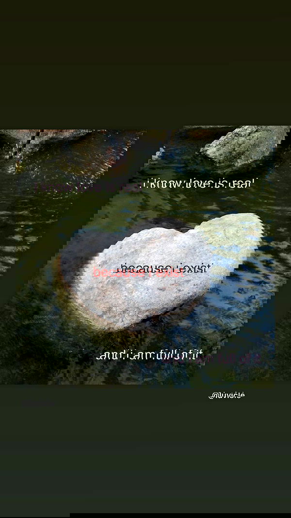 liashaked liashaked archive image