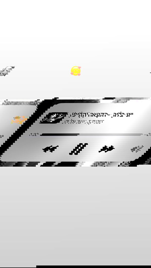 liashaked liashaked archive image