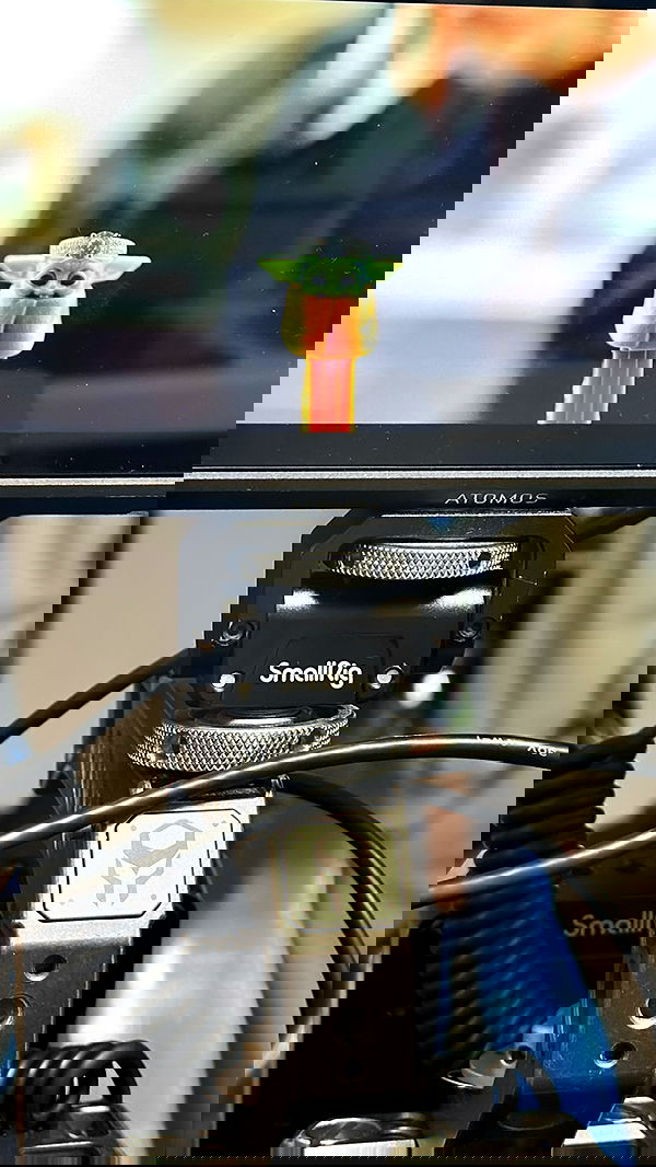 liashaked liashaked archive image