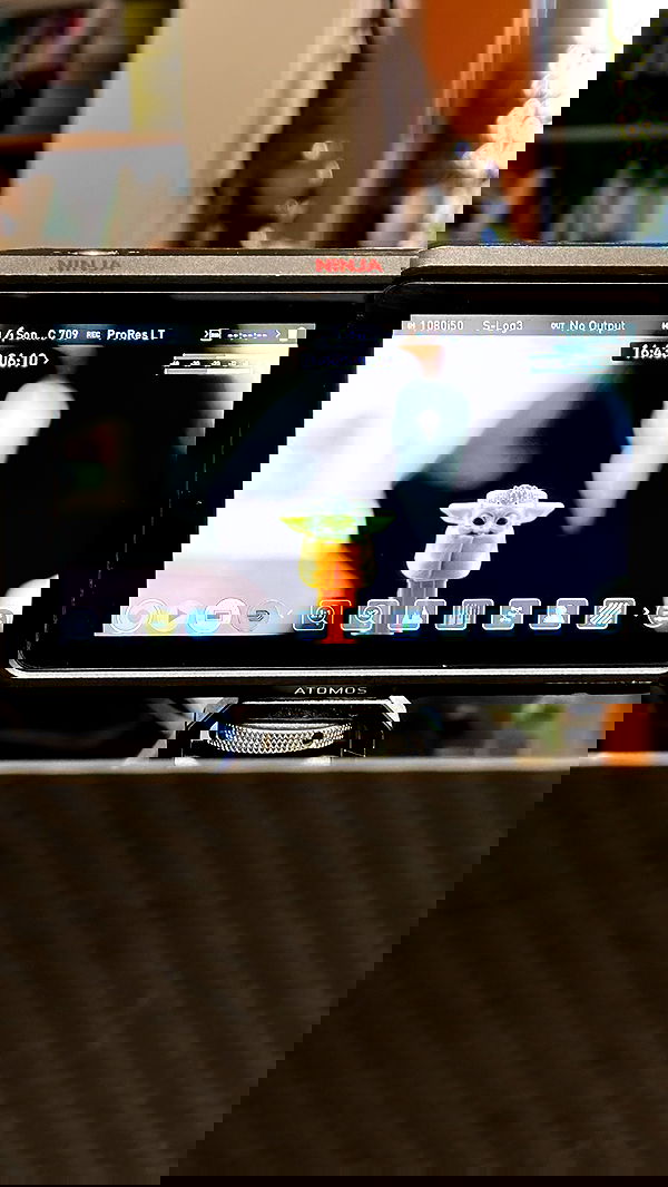 liashaked liashaked archive image