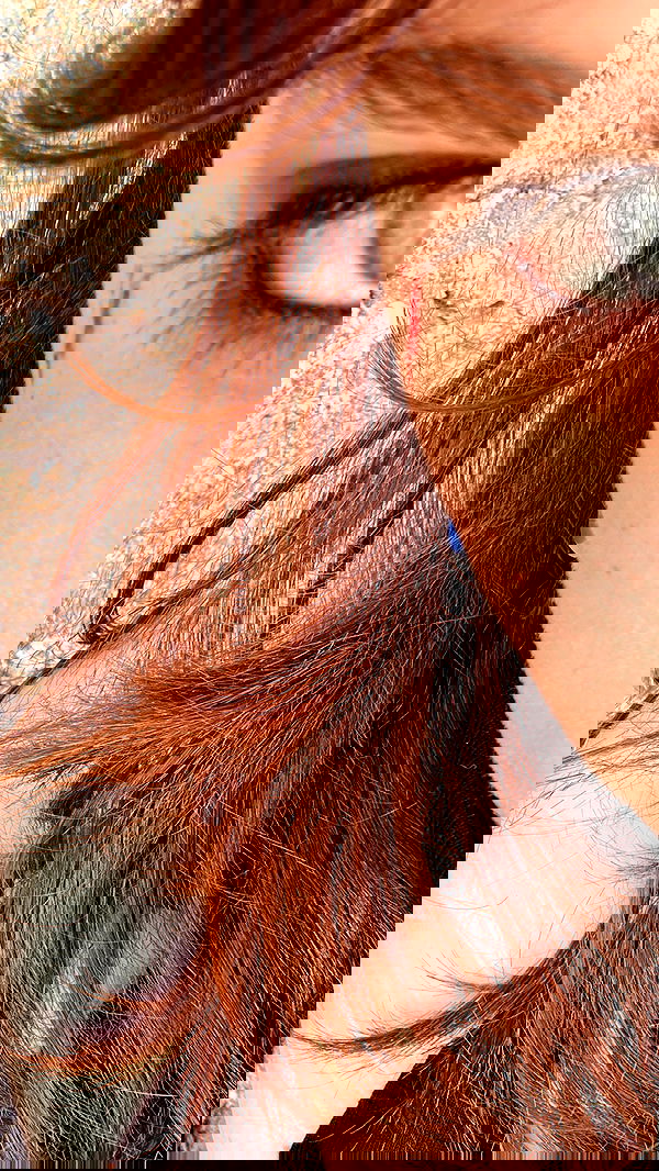 liashaked liashaked archive image