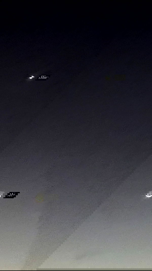 liashaked liashaked archive image