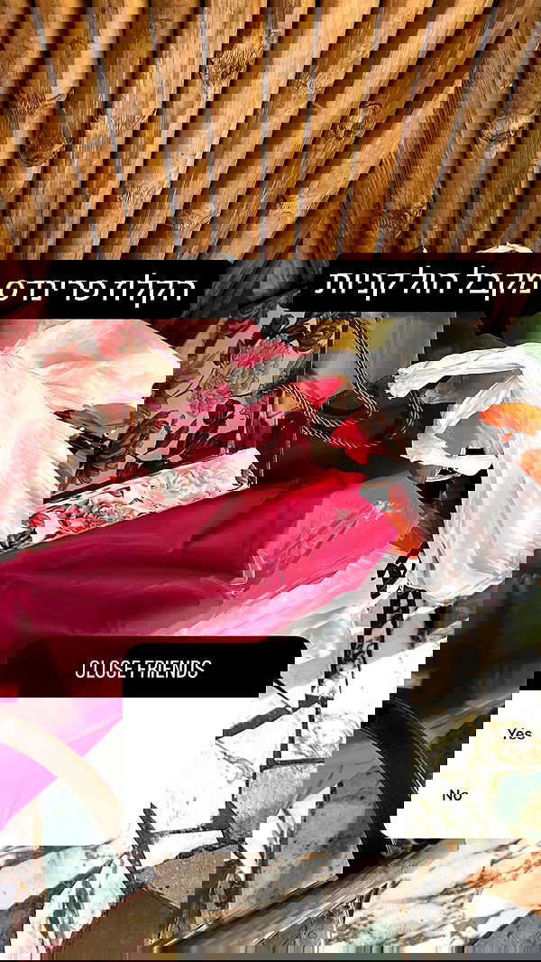 liashaked liashaked archive image