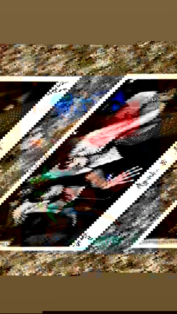 liashaked liashaked archive image