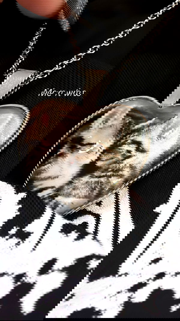 liashaked liashaked archive image