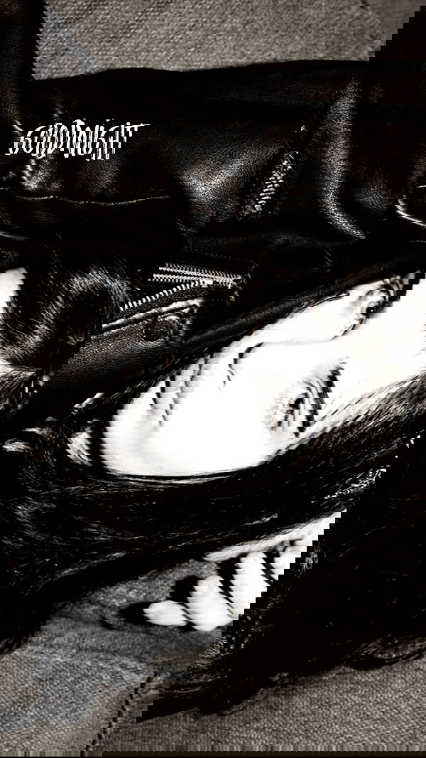 liashaked liashaked archive image