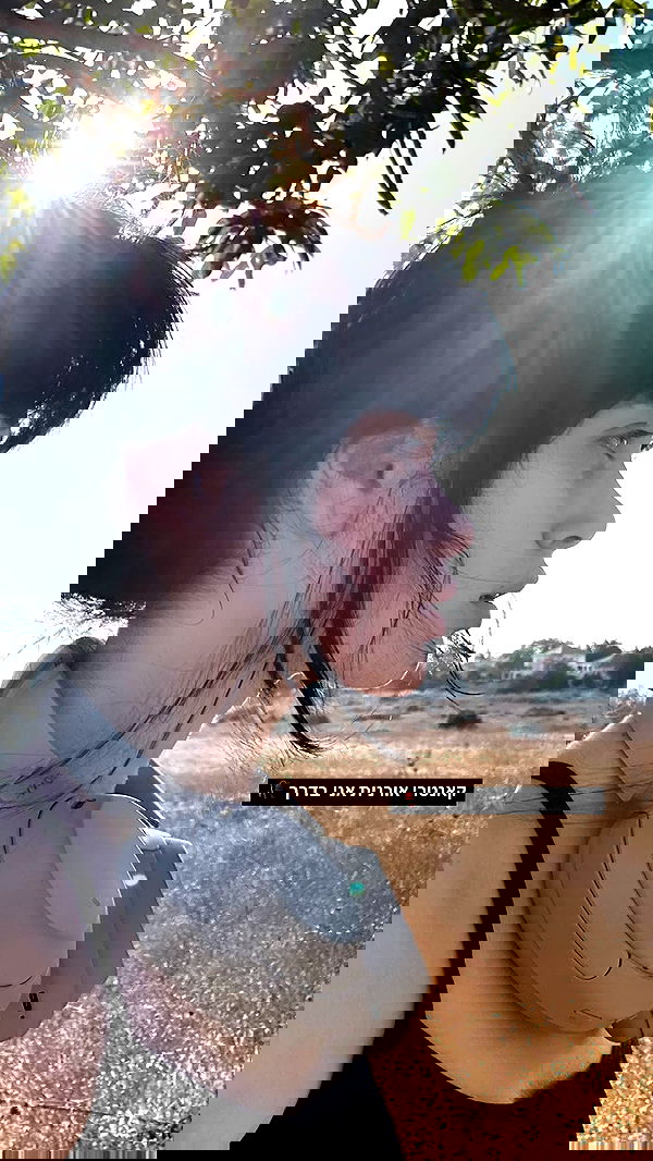 liashaked liashaked archive image