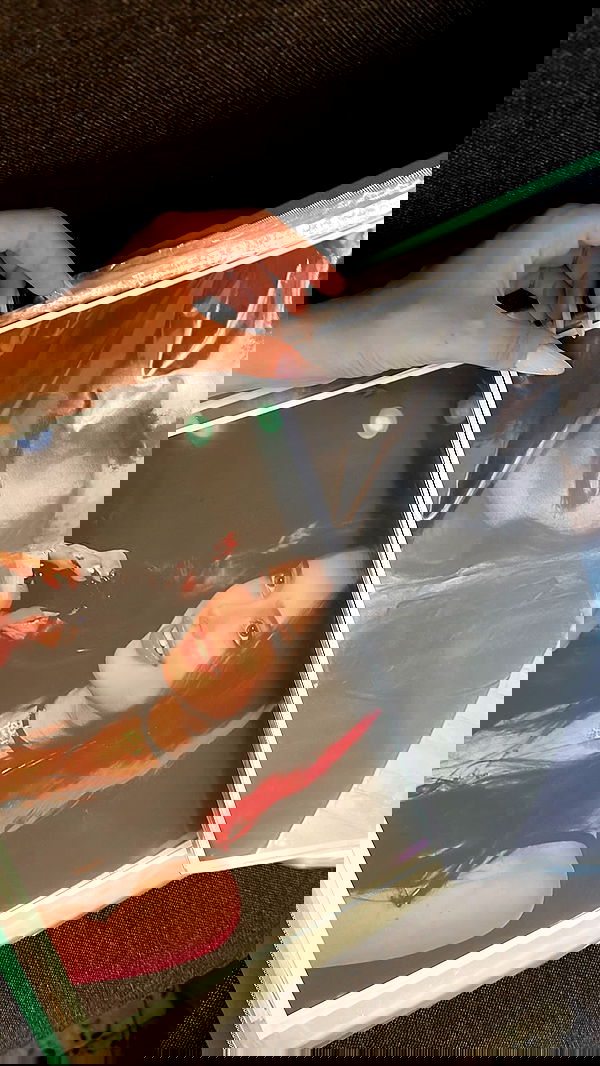 liashaked liashaked archive image