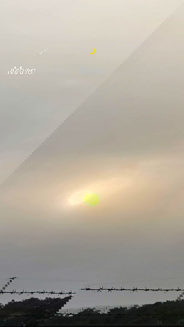 liashaked liashaked archive image