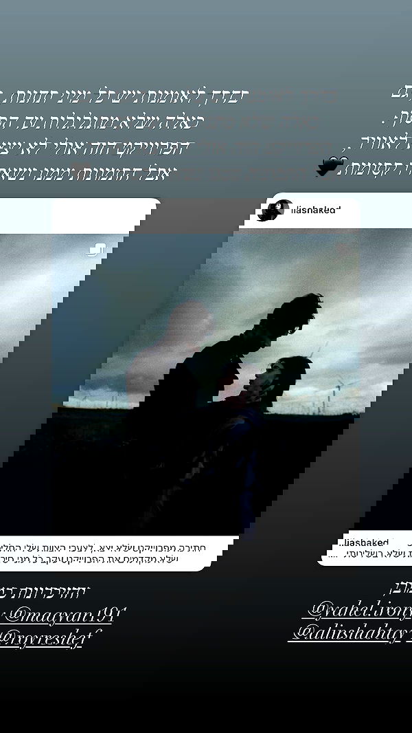 liashaked liashaked archive image