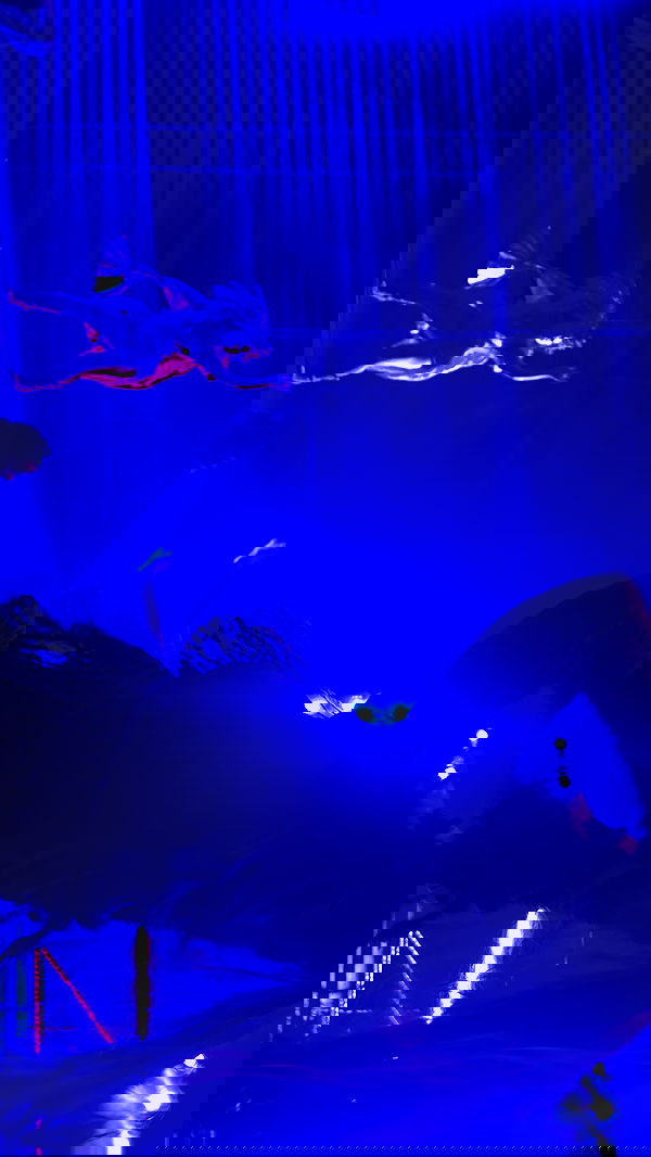 liashaked liashaked archive image