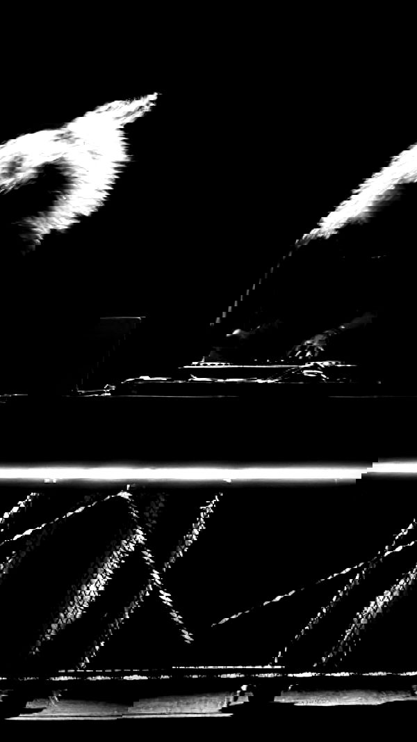 liashaked liashaked archive image