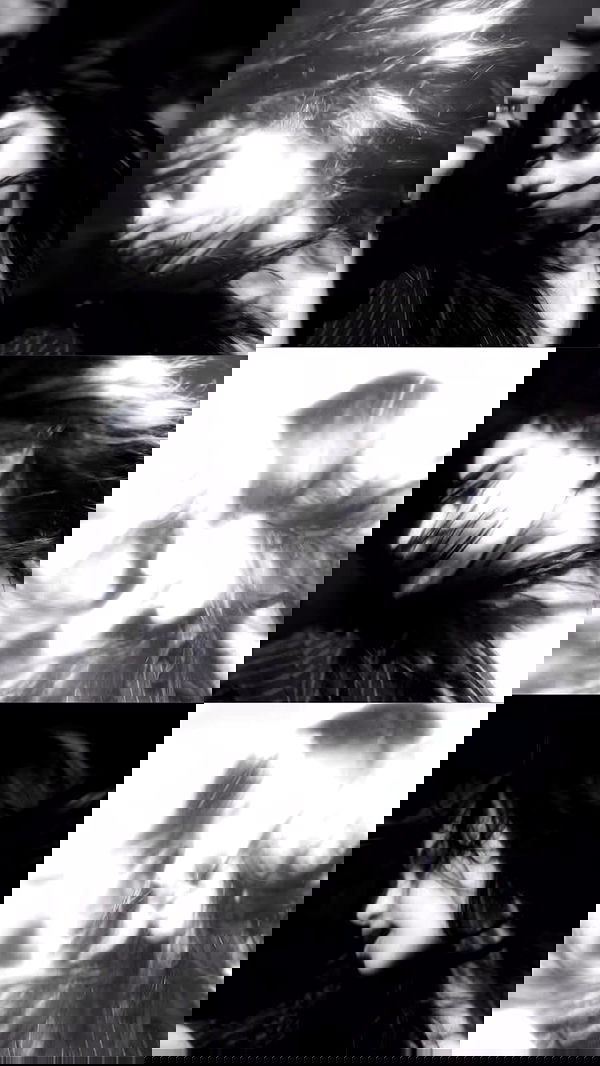 liashaked liashaked archive image