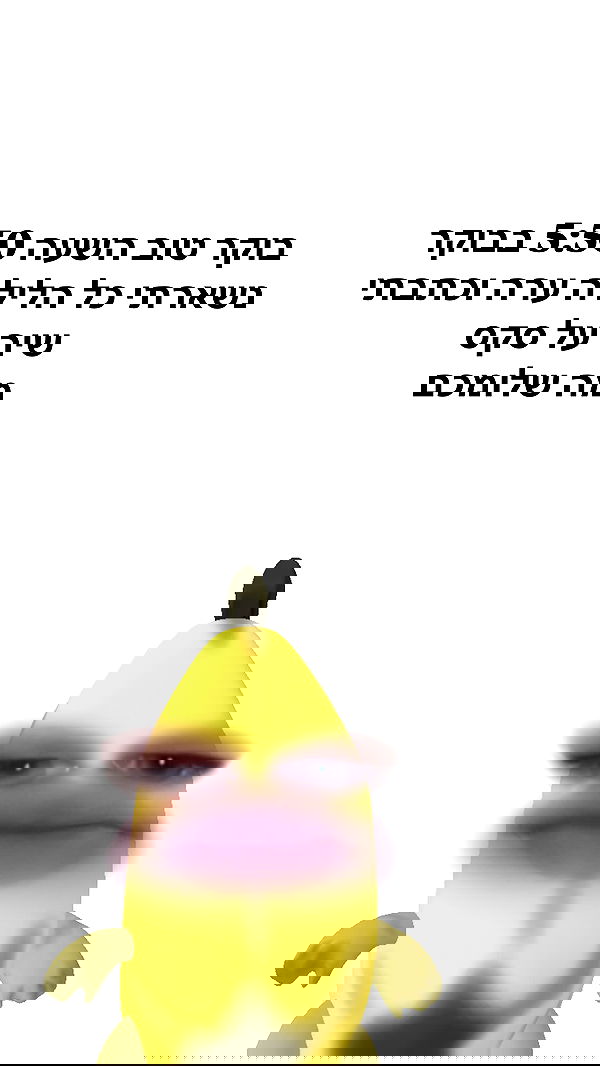 liashaked liashaked archive image