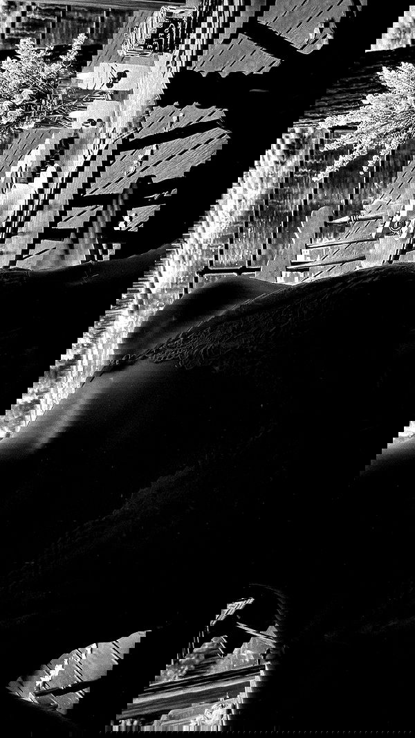 liashaked liashaked archive image