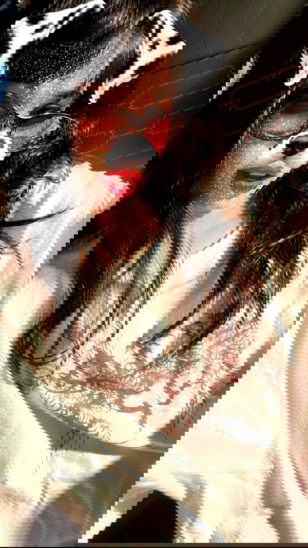 liashaked liashaked archive image