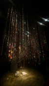 libbycannon_ Altpins Profile Picture