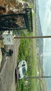 liem_sadan Altpins Profile Picture