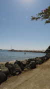 ligal_zino Altpins Profile Picture