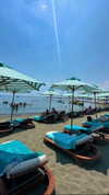 ligal_zino Altpins Profile Picture