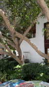 ligal_zino Altpins Profile Picture